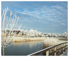 Altocumulus en ruige rijpvorming