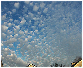 Cumulus Vlocus (schapenwolkjes)