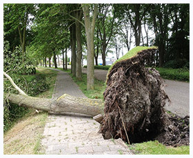  Schade zomerstorm 25 juli 2014