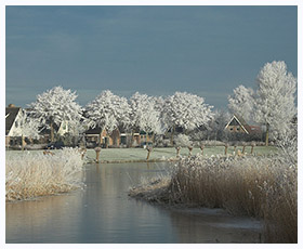 Winterplaatje met rijp op de bomen