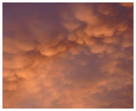 Mammatus